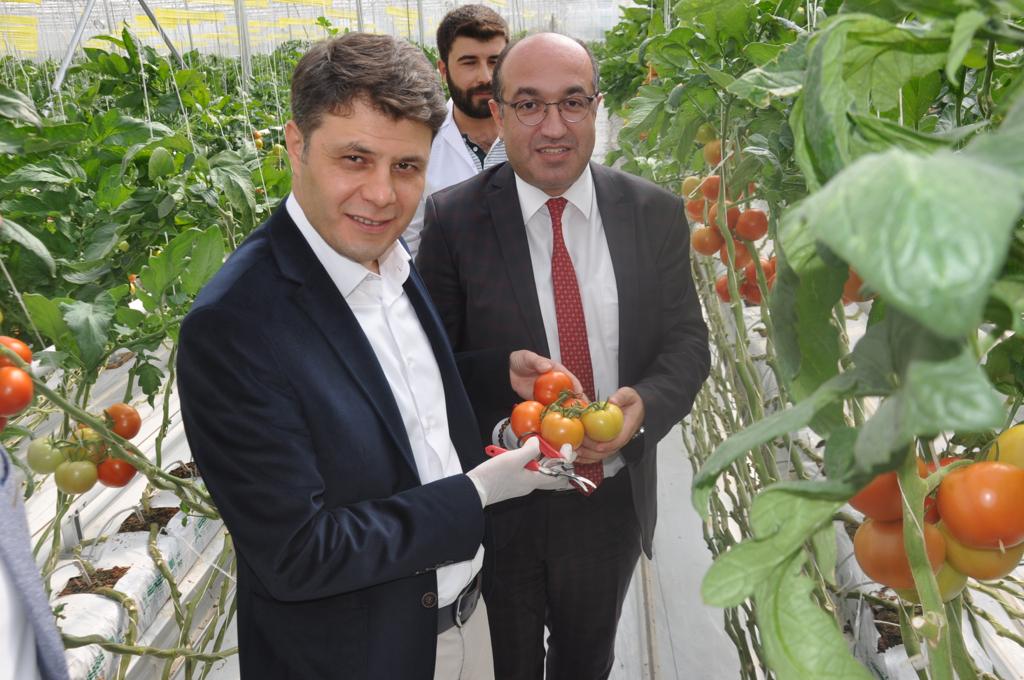 Kaymakamız Sayın Önder Çengel ve Belediye Başkanı Dr. Mustafa Çöl, Gürses Tarıma Ait Serayı Ziyaret Etti.